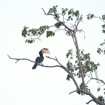 Pelican View Cottages Kataragama Luaran gambar