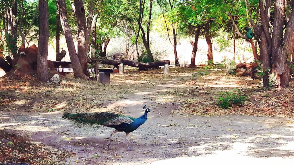 Pelican View Cottages Kataragama Luaran gambar